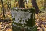 Zapomniane cmentarze i nagrobki ukryte w lasach powiatu kościerskiego. Mało kto wie o tych miejscach 