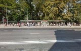 Google Street View w Lublinie. Czy mieszkańcy ubierają się modnie i stylowo? Zobacz codzienne stylizacje lublinian