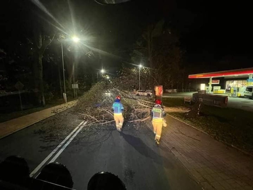 Silny wiatr znów łamie drzewa na Podhalu. Alert RCB dla Małopolski!