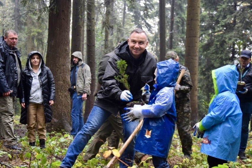 Prezydent Andrzej Duda w Starym Sączu sadził drzewa