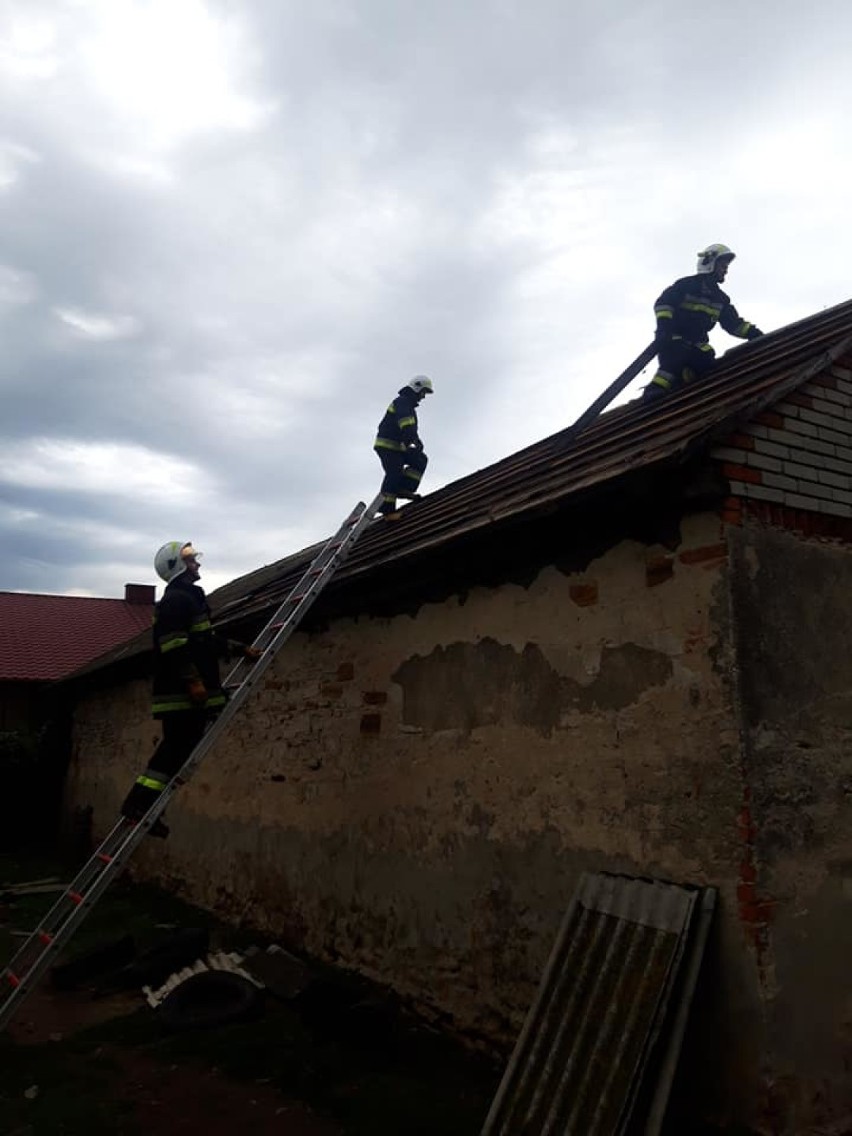 Po wichurze zniszczenia w powiecie opoczyńskim. Strażacy usuwali skutki wczorajszej burzy kilka godzin [ZDJĘCIA]