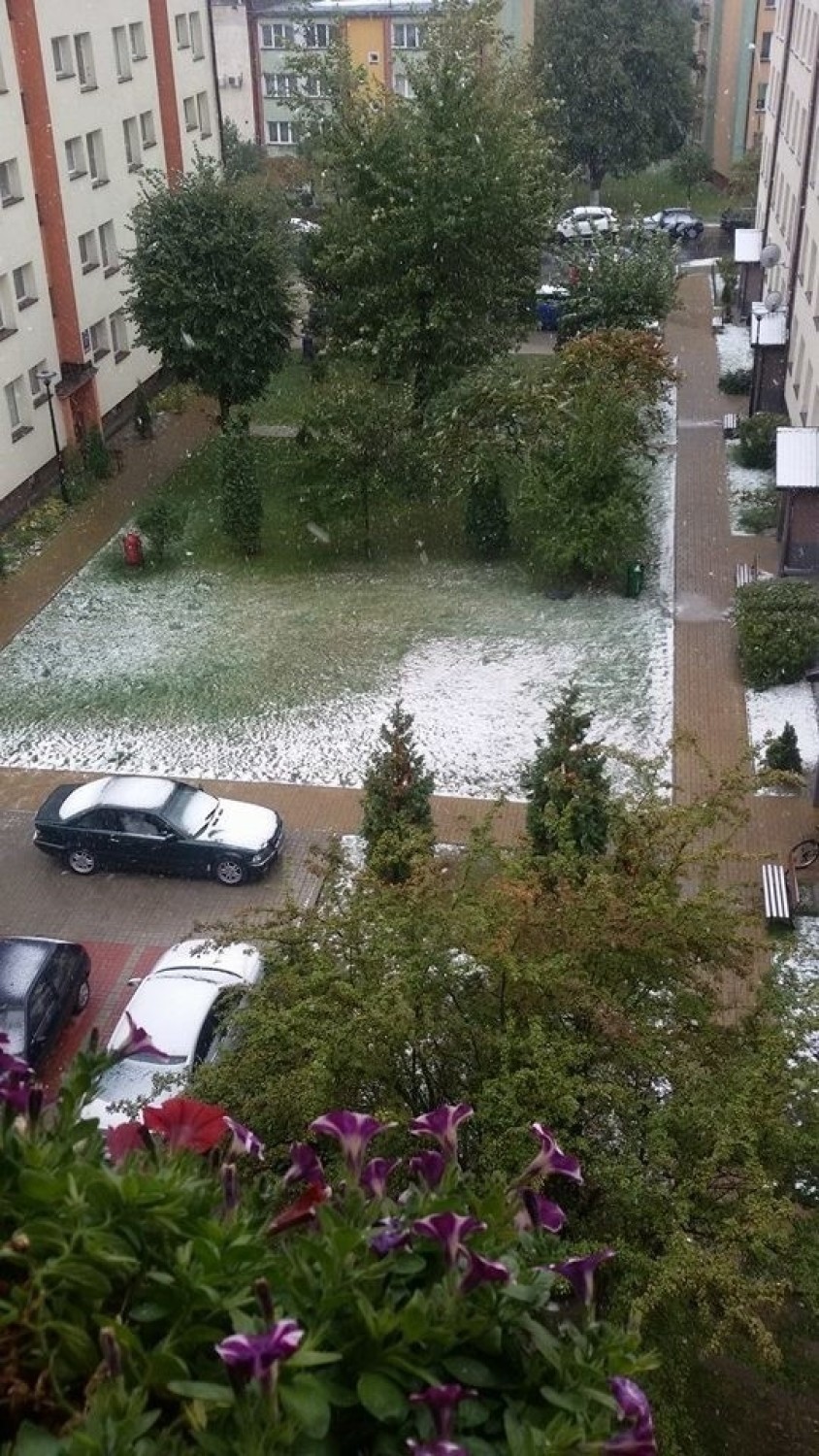 Śnieg w Janowie Lubelskim w 2015 r.