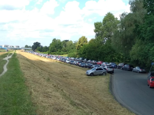 Liczba miejsc parkingowych na wyspie Bolko jest zdecydowanie za mała, a sytuacji nie polepsza coraz większa atrakcyjność ogrodu zoologicznego, która przyciąga turystów z całej Polski.