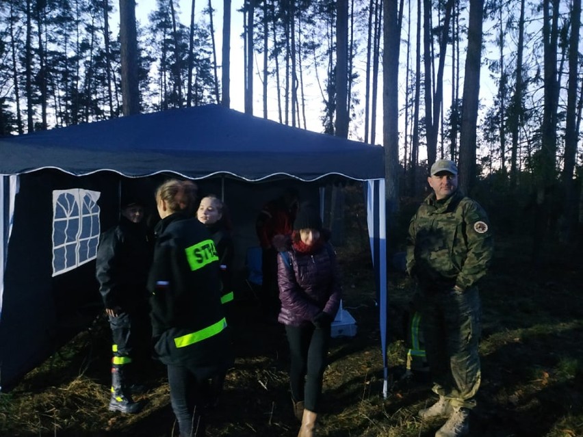 Strażacy z OSP Trąbki Wielkie i OSP Ełganowo szkolili się w poszukiwaniach osób zagubionych pod okiem  Grupy Gryf ZDJĘCIA