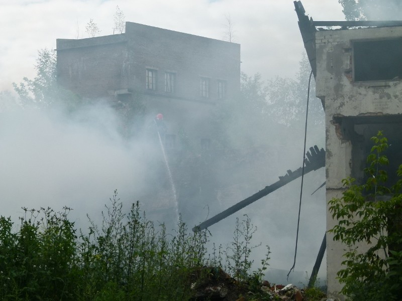 Tomaszowscy strażacy gasili pożar na Wistomie