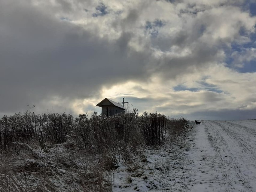 Zimowe krajobrazy w gminie Zielonki