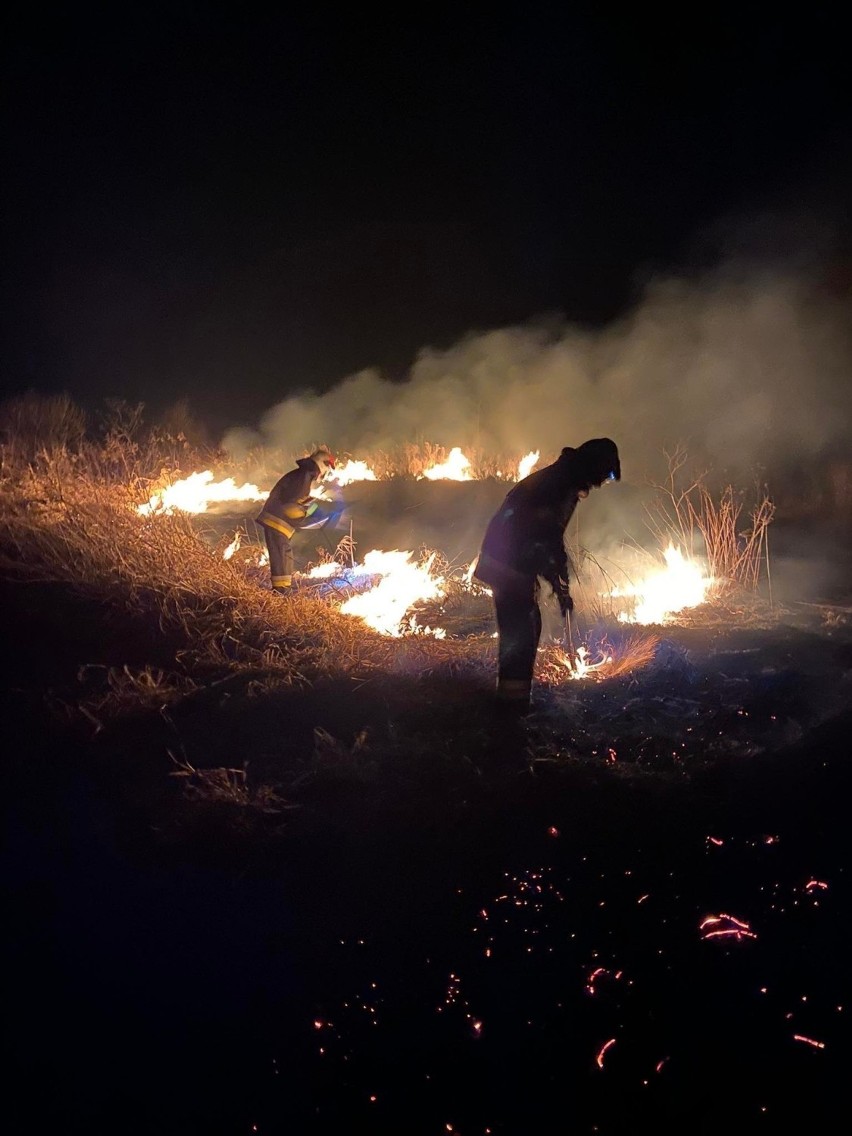 Powiat krakowski. Plaga wypalania traw. Pożary przybierają niebotyczne rozmiary na polanach i w lasach