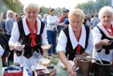 Będzińska biesiada smaków w parku na Dolnej Syberce 2012 [ZDJĘCIA, WIDEO]