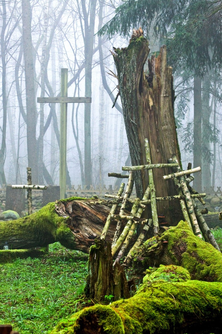 Cmentarz leśników w nadleśnictwie Zdrojowa Góra
