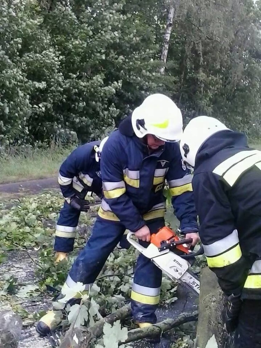 OSP Kłodawa: Drzewo spadło na samochód