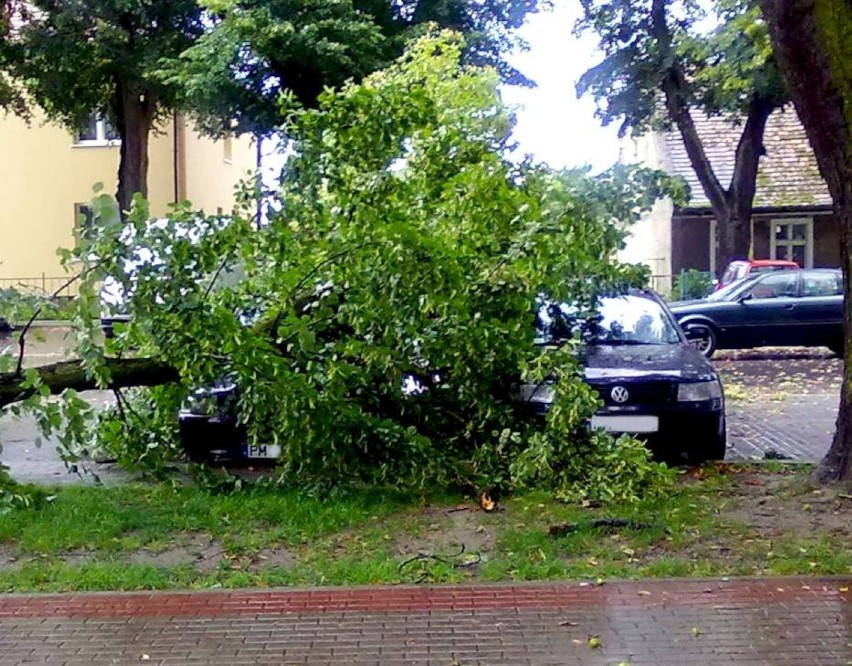 Ostrzeżenie meteorologiczne: silny wiatr