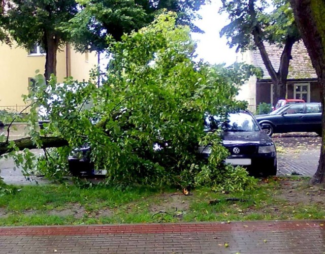 Ostrzeżenie meteorologiczne: silny wiatr