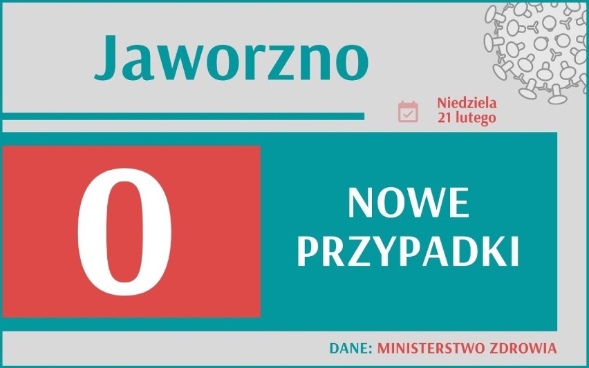 Koronawirus w woj. śląskim. Dziś, 21 lutego, Ministerstwo...