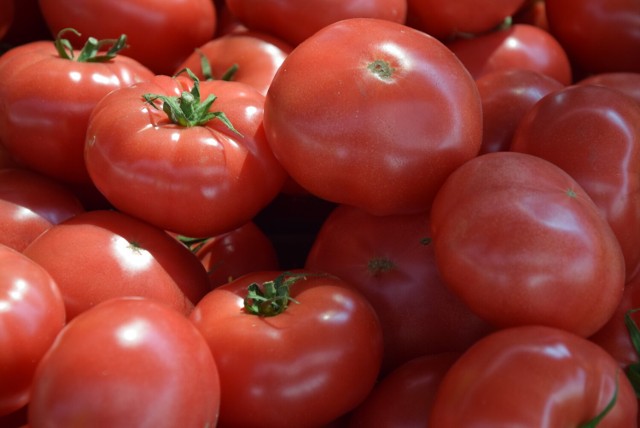 Pomidor malinówka - 12 zł za kilogram