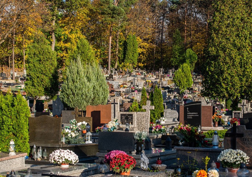 Cmentarze znowu otwarte. Spacer po nekropolii przy ul. Piaskowej w Puławach. Zobacz zdjęcia