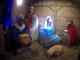 Tradycyjnie w centrum Przytocznej stanęła szopka bożonarodzeniowa [ZDJĘCIA]