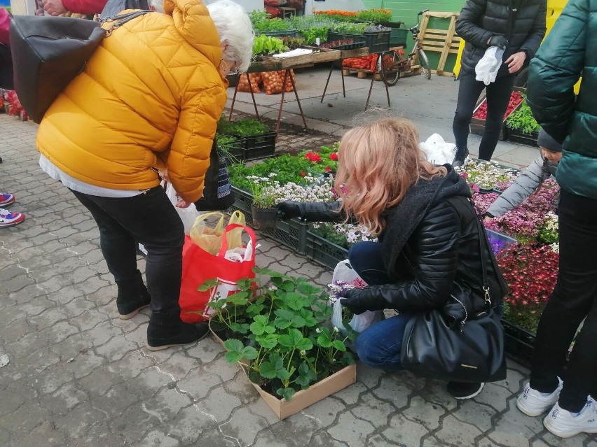 W sobotę, 24 kwietnia pogoda dopisała. Nie brakowało...