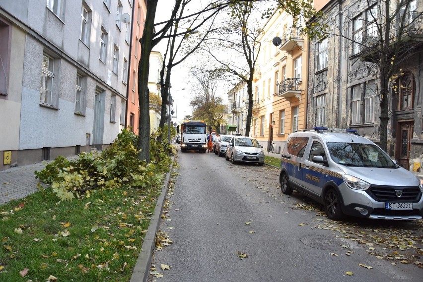 Tarnów.  Drzewo runęło na ulicę Brodzińskiego w Tarnowie. Droga w centrum miasta była zablokowana [ZDJĘCIA]