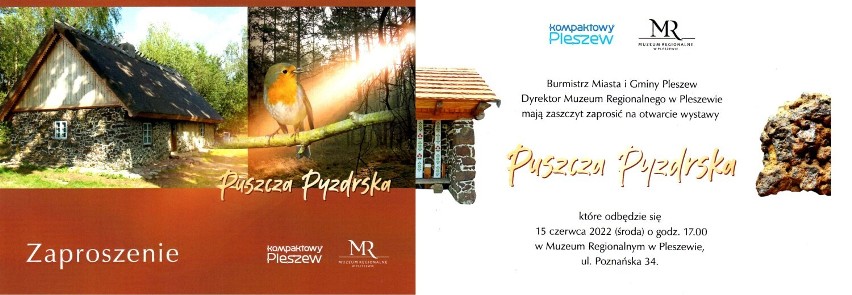 Wystawa o Puszczy Pyzdrskiej i warsztaty pisania ikon to najnowsze propozycje Muzeum Regionalnego w Pleszewie