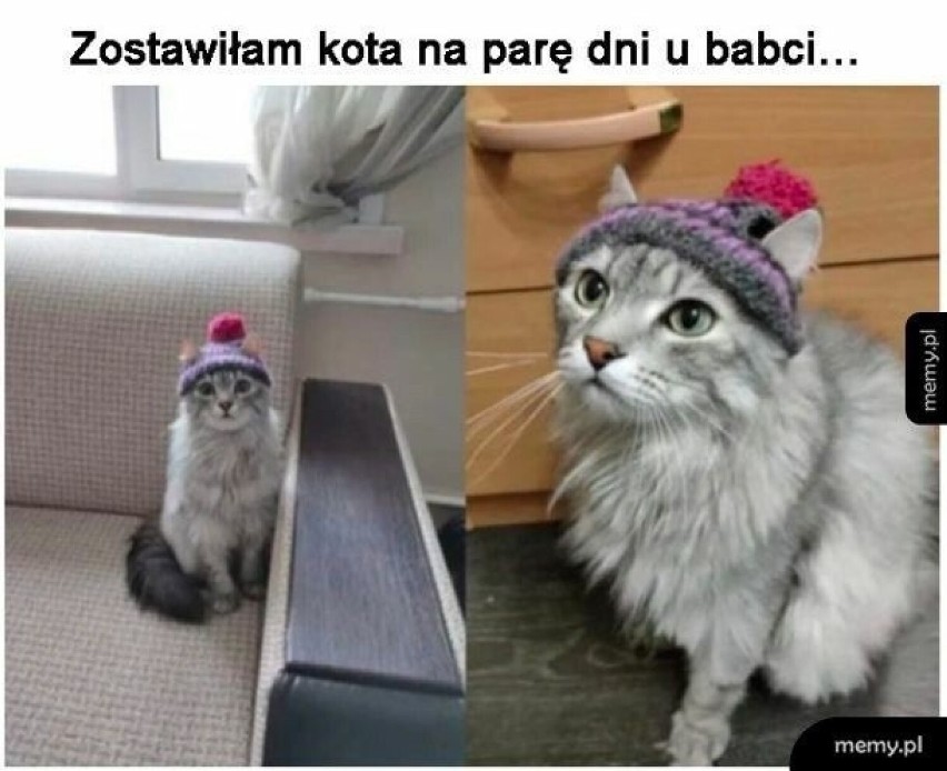 Memy z okazji dnia babci i dziadka