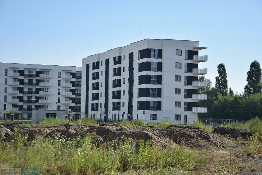 Przy ul. Celulozowej powstały cztery bloki z mieszkaniami na...
