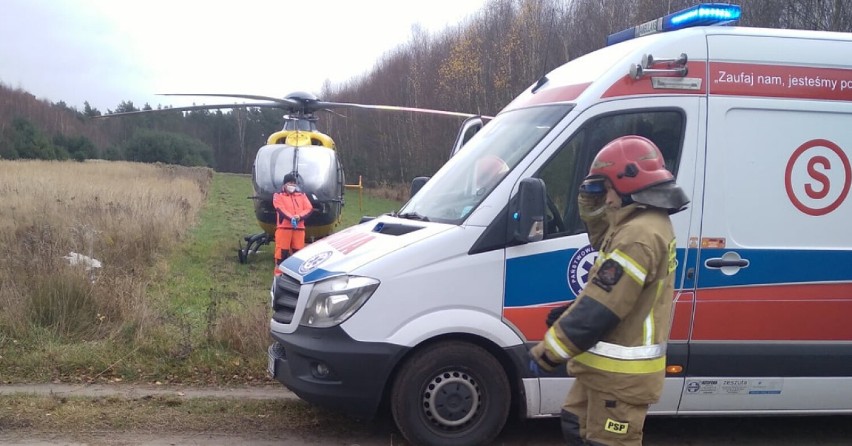 Wypadek przy wycince drzewa w gm. Czarnożyły. Poszkodowany zabrany śmigłowcem do szpitala ZDJĘCIA