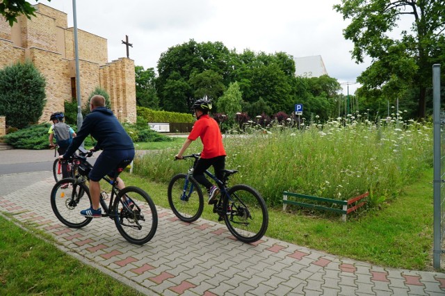 Łąki kwietne na poznańskim Piątkowie. Powstało ich już kilka między blokami, ale w przyszłości kwietnych dywanów ma być więcej. Zobacz, jak się prezentują. 

Kolejne zdjęcie -->