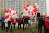 W Tczewie posadzili dąb na 100-lecie niepodległości [ZDJĘCIA]