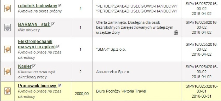 Aktualne oferty pracy w Żorach: Sprawdź, jakie są i ile można zarobić?