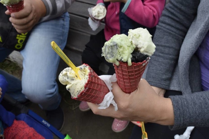 9 Festiwal Lodów Rzemieślniczych. ISKRA Pole Mokotowskie zaprasza na lodowe obżarstwo