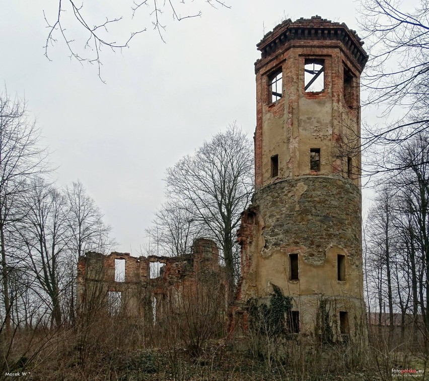 Ruiny pałacu w Uboczu