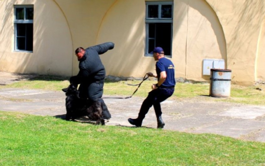 Gminne ćwiczenia obronne "ŻURAW 21" w Żurawicy koło...