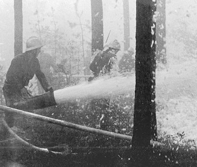 W sierpniu 1992 roku w okolicach Kuźni Raciborskiej spłonęło 10 tysięcy hektarów lasów