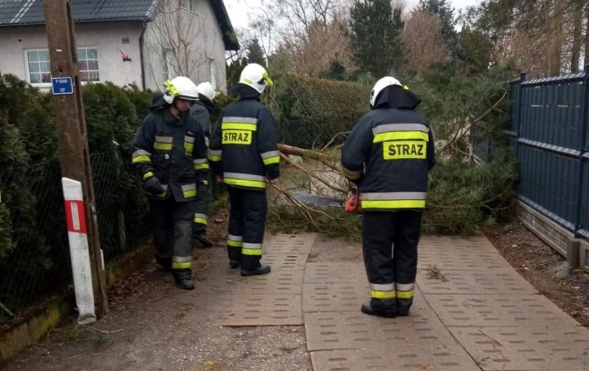 OSP w Gościszewie. Strażacy usuwali z dróg powalone drzewa