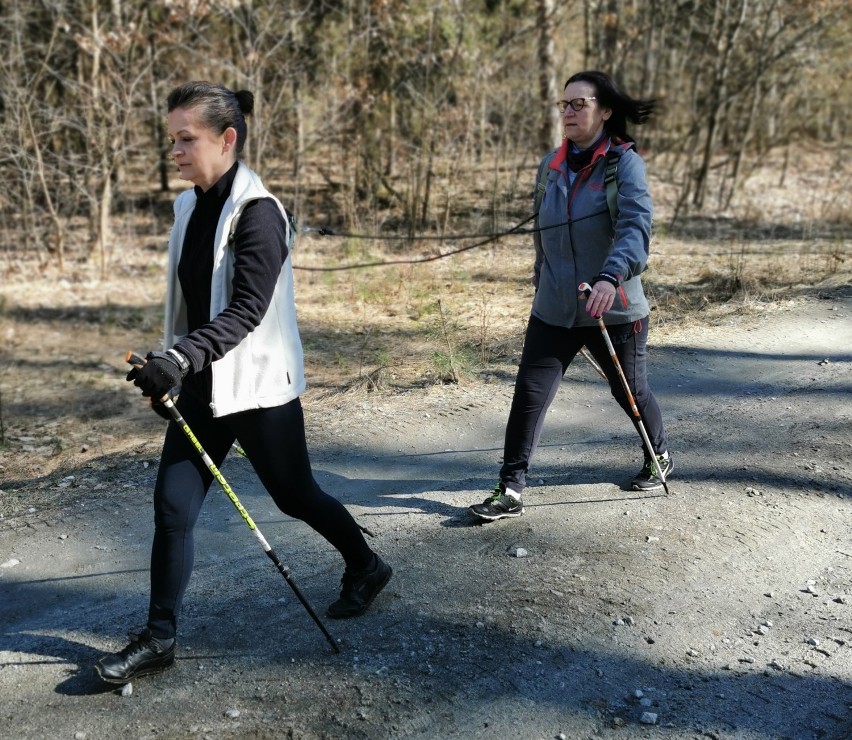 Chodzież: grupa Kijomaniacy zaprasza na darmową naukę prawidłowej techniki nordic walking! 