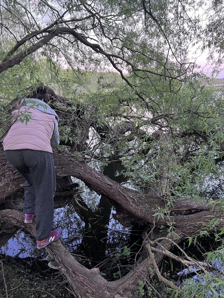 Wolontariuszki ze Sztumskich Bezdomniaków uratowały koty