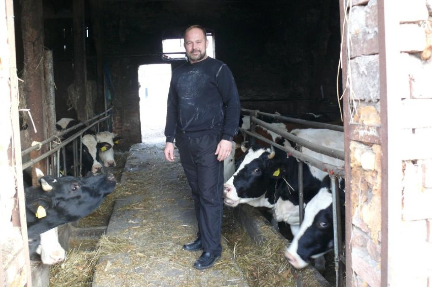 Rolnik z Osieka: Moje krowy lubią słuchać Bacha i Mozarta!