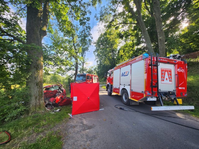 Na miejscu pracowała lokalna policja, zastęp PSP w Kamiennej Górze, dwa z OSP w Chełmsku Śląskim oraz Zespół Ratownictwa Medycznego.