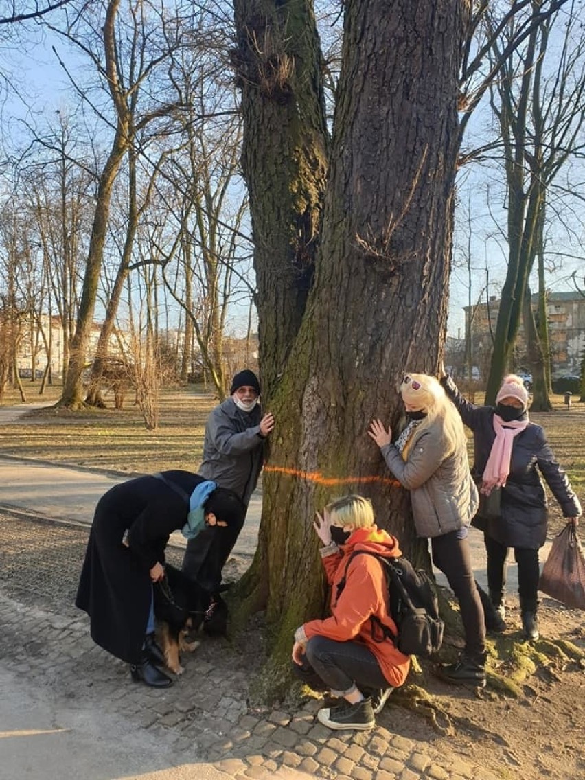 W parku miejskim w Kielcach we wtorek kilka osób przytulało...