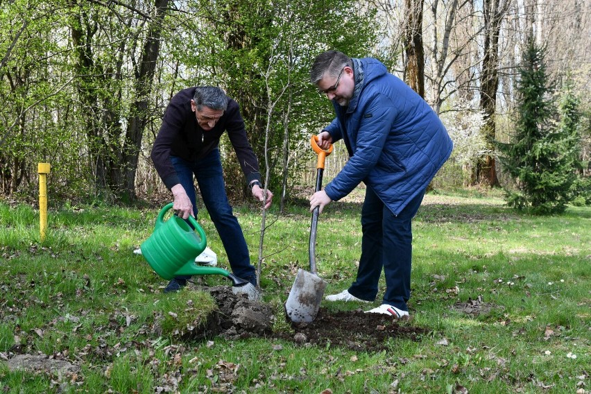 Powiat bocheński dołączył do akcji #drzewodlaklimatu
