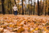 Jesień płata nam figla! Jest pochmurno i dżdżysto, ale wciąż klimatycznie! [ZDJĘCIA] 