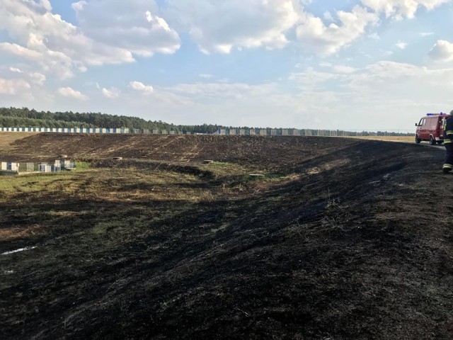 Pożar łąk w Mielimące