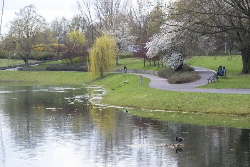 Park Kępa Potocka, który ma blisko 18 ha, to obszar zieleni...