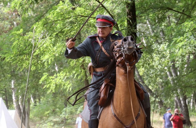 Europejskie Dni Dziedzictwa, pokazy historyczne Wielkiej Wojny.