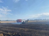 Pożar w gminie Suchy Dąb. Po godzinie 13 w poniedziałek 16.08.2021 strażacy dostali wezwanie do pożaru rżyska, wciąż walczą z ogniem