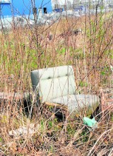 Ekologiczny patrol w Sosnowcu: Na placu Ćwierka już czysto, problem śmieci na działkach