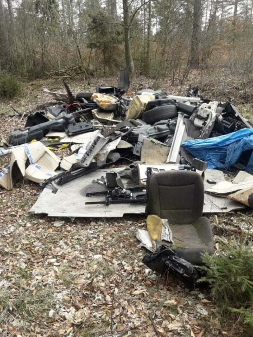 Sterta śmieci w okolicach Szymbarku - ktoś wyrzucił w lesie opony, części karoserii, a nawet sedes
