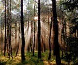 Jesień ubrała Żagań i okolice w cudowne barwy! Zobaczcie najpiękniejsze, jesienne zdjęcia Czytelników!