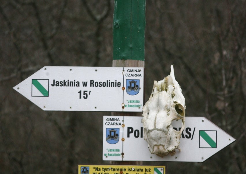 Poznaj Bieszczady. Rosolin i jaskinia Jahybta, w której kręcono serial WATAHA [ZDJĘCIA]