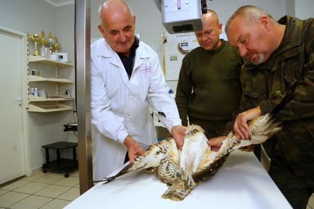 Rybołów z Finlandii rozbił się o lustro wody stawu w pow. radomszczańskim